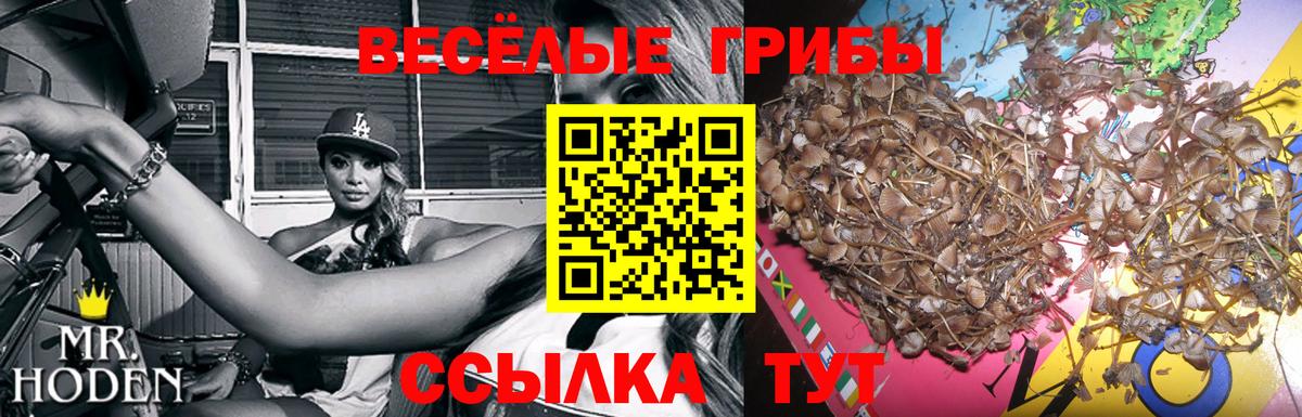 Галлюциногенные грибы прущие грибы  Вход с VPN  Павловский Посад 